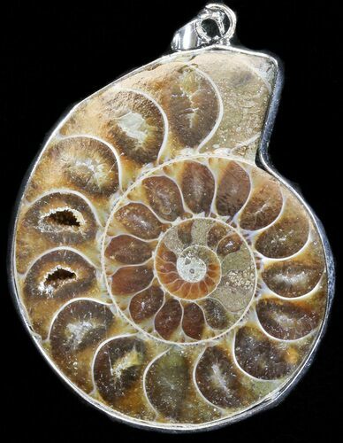 Fossil Ammonite Pendant - Million Years Old #37919